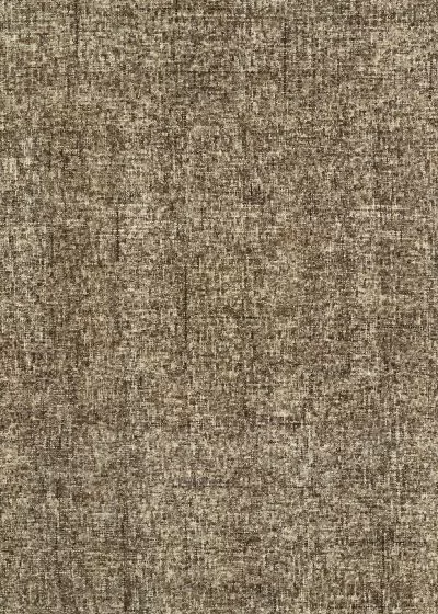 Calisa CS5 Coffee Area Rug