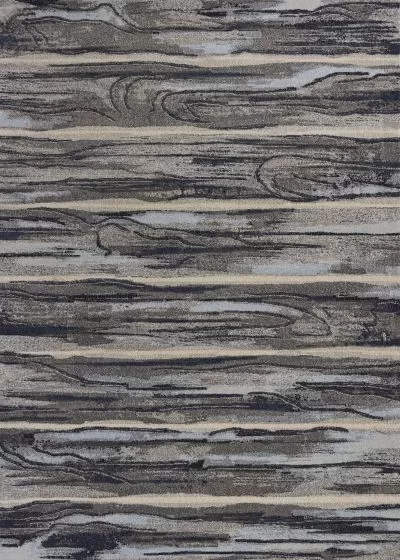 Illusions 6210 Grey Landscape Area Rug