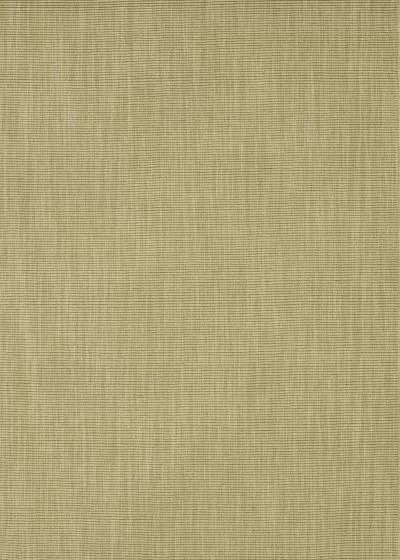 Monaco Sisal MC100 Aloe Area Rug