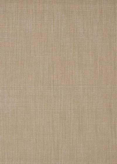 Monaco Sisal MC100 Taupe Area Rug