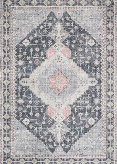 Skye SKY-02 Charcoal/Multi Area Rug