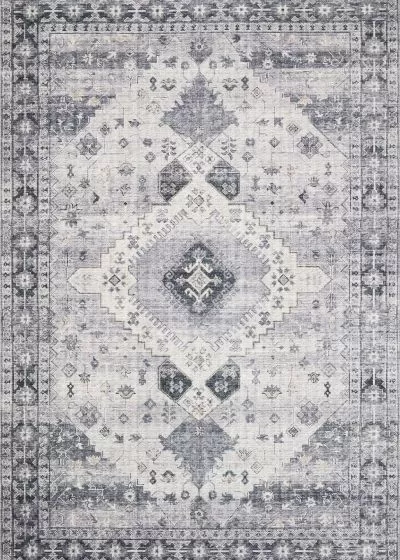 Skye SKY-02 Silver/Grey Area Rug