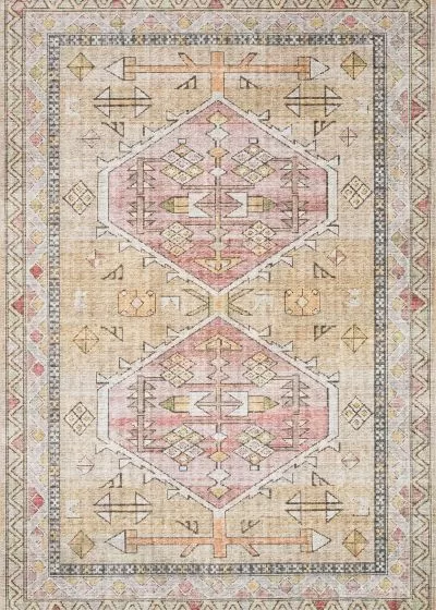 Skye SKY-04 Gold/Blush Area Rug