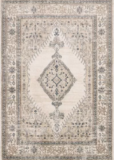 Teagan TEA-02 Oatmeal/Ivory Area Rug