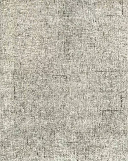 Calisa CS5 Fog Area Rug
