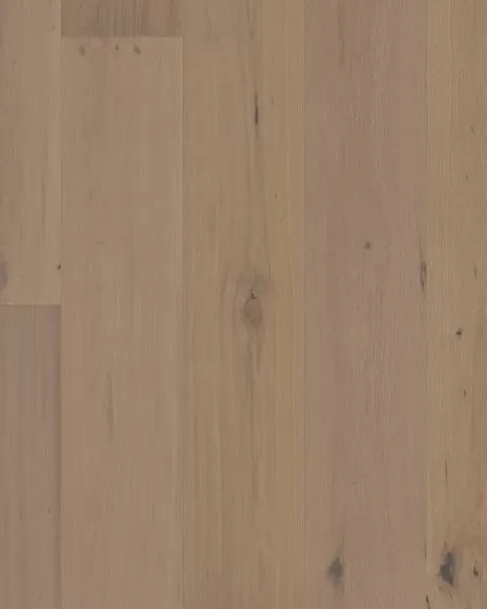 Chateau Oak Parlor 8" Hardwood