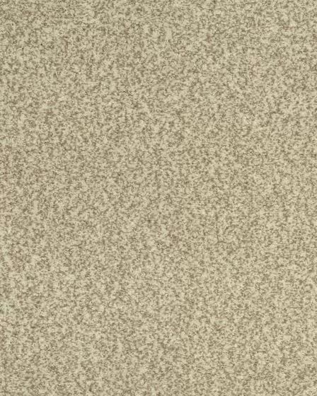 Cherished Tradition Bare Necessities Kashmere Carpet