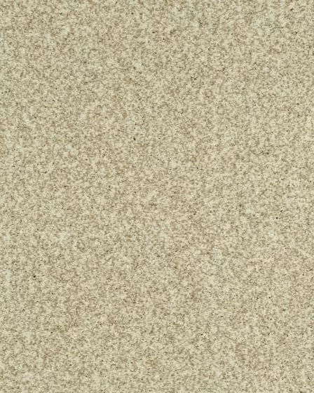 Cherished Tradition Haven Kashmere Carpet