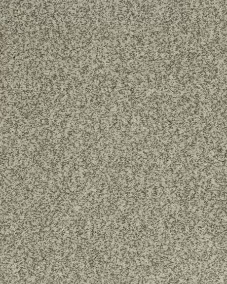 Cherished Tradition Raven Kashmere Carpet