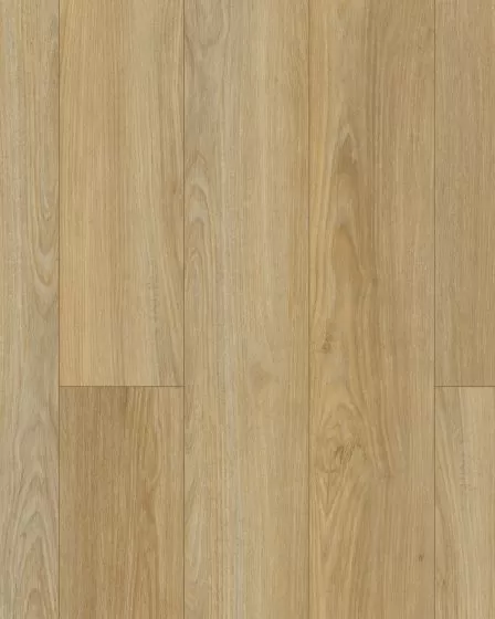 Discovery Ridge SolidTech Essentials Coffee House Tan