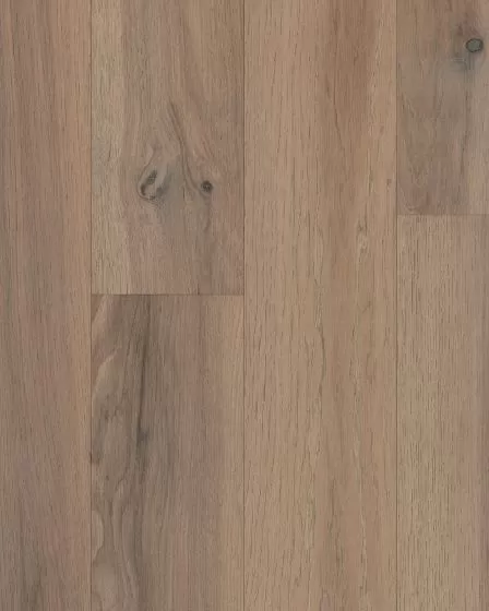 Nature s Canvas Gold White Oak Woodland Mist