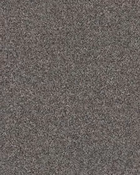 Expertise Sentimental 48.7oz Textured Carpet
