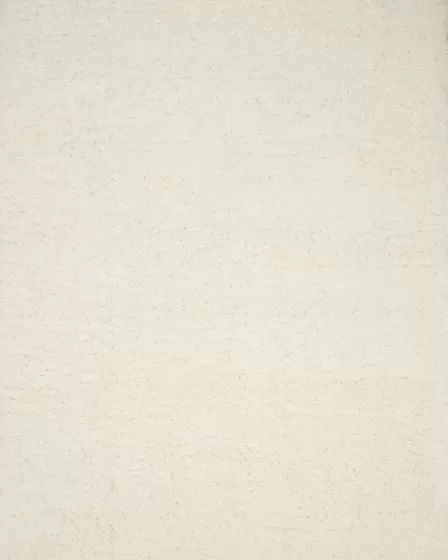 Kayla Shag KAY-01 Ivory Area Rug