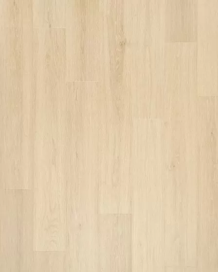 Andilet Buff Cream Oak BelleLuxe 8" Laminate
