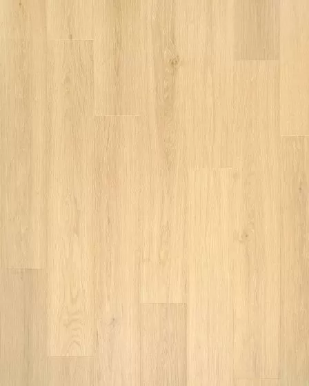 Andilet Glazer Ginger Oak BelleLuxe 8" Laminate