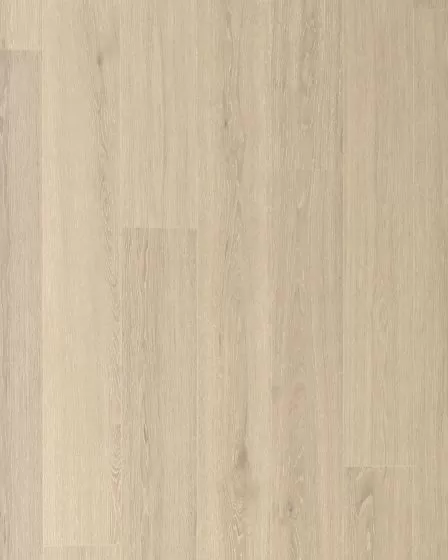 Andilet Morning Fog Oak BelleLuxe 8" Laminate
