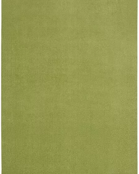 Nourison Essentials NRE01 Green Area Rug
