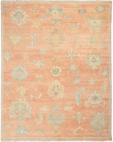Odessa ODS04 Brick Multicolor Area Rug