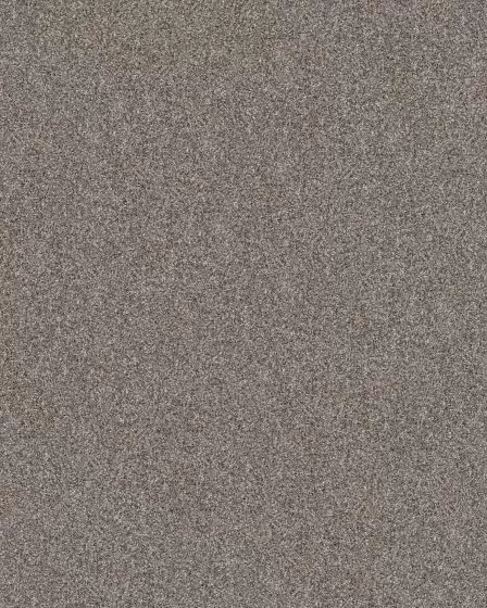 Refined Chic Chic Greige Textured Carpet