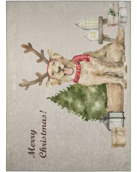 Wonderland WN8 Beige Area Rug
