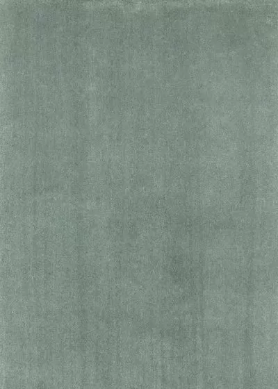 Bliss 1565 Slate Shag Area Rug