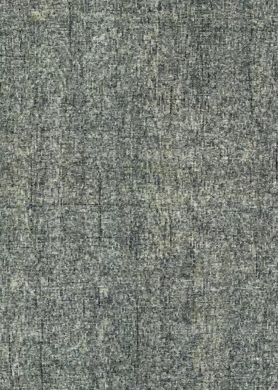 Calisa CS5 Lakeview Area Rug