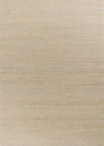 Mason 391 Grey Area Rug
