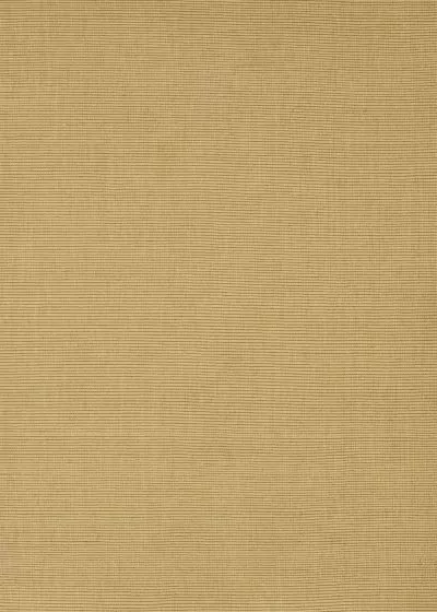 Monaco Sisal MC100 Honey Area Rug