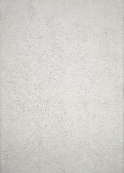 Mila Shag MIL-01 White Area Rug