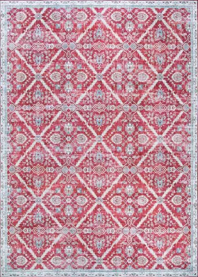 Pasha Arcadia Garnet Area Rug