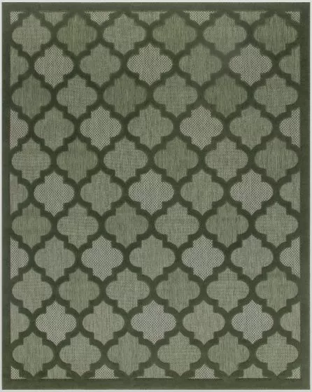 Easy Care NES01 Green Area Rug