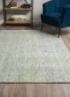 Calisa CS5 Chambray Area Rug