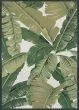 Dolce Palm Lily Hunter Green/Ivory Area Rug
