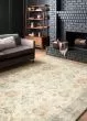 Rosette ROS-01 Beige/Multi Area Rug