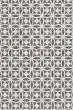 Dorado DB-06 Graphite/Ivory Area Rug