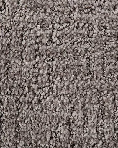 Wonder Weave Truffle Everstrand Carpet