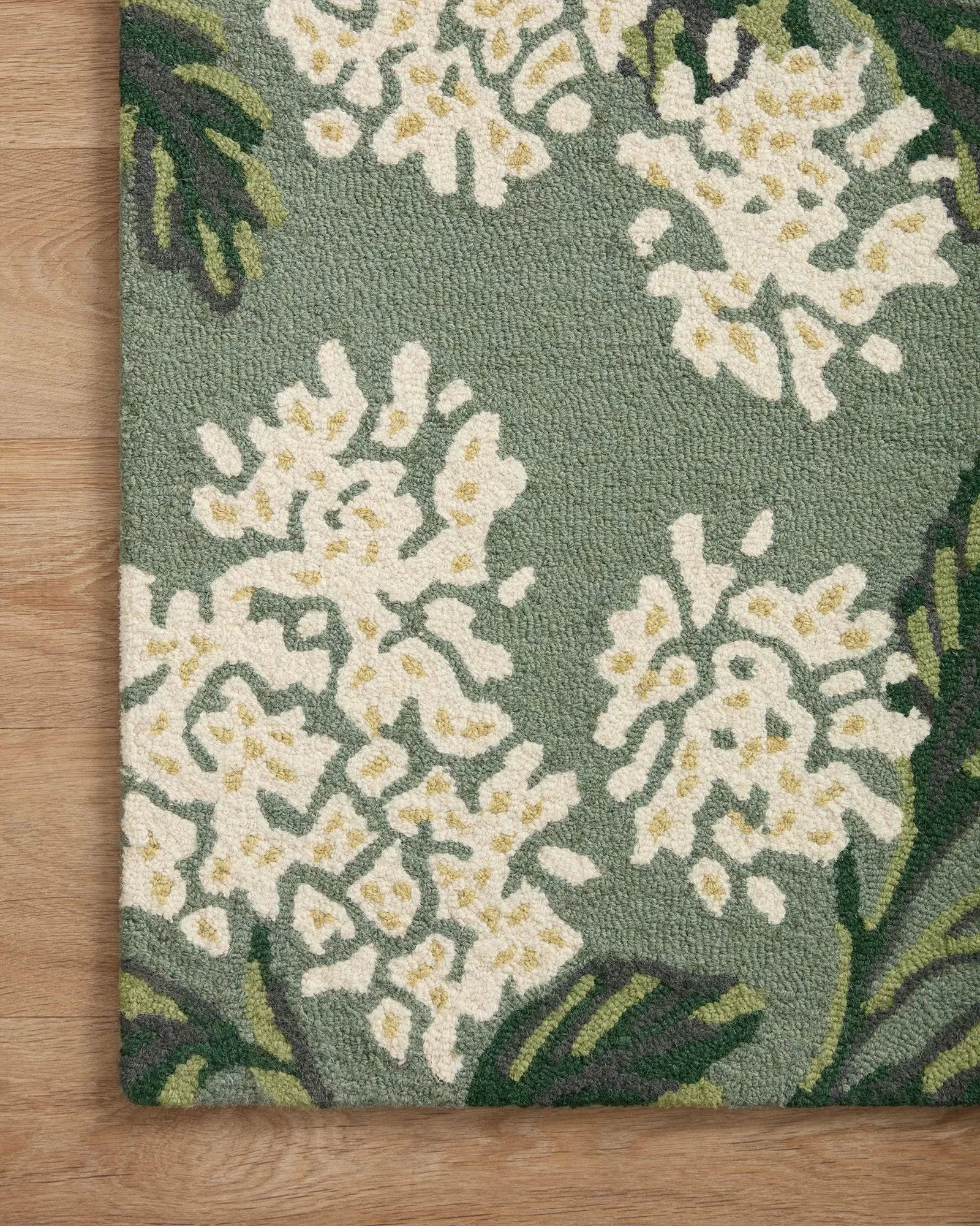 JOIE | Loloi Rugs