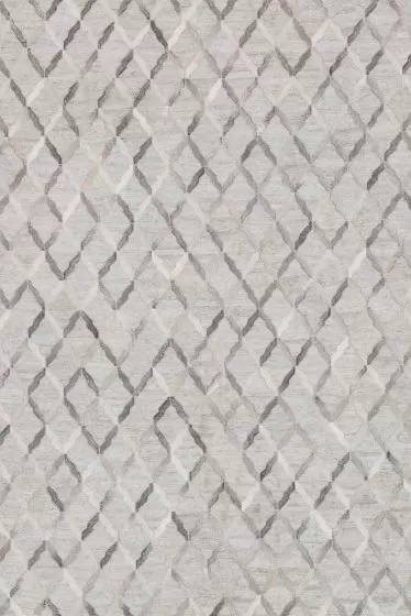 Dorado DB-04 Grey/Grey Area Rug