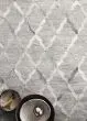 Dorado DB-04 Grey/Grey Area Rug