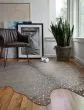 Bryce BZ-03 Graphite/Silver Area Rug