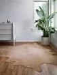 Bryce BZ-05 Tan/Gold Area Rug