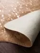 Bryce BZ-05 Tan/Gold Area Rug