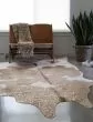 Bryce BZ-06 Taupe/Champagne Rug