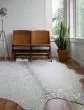 Bryce BZ-09 Stone/Silver Area Rug