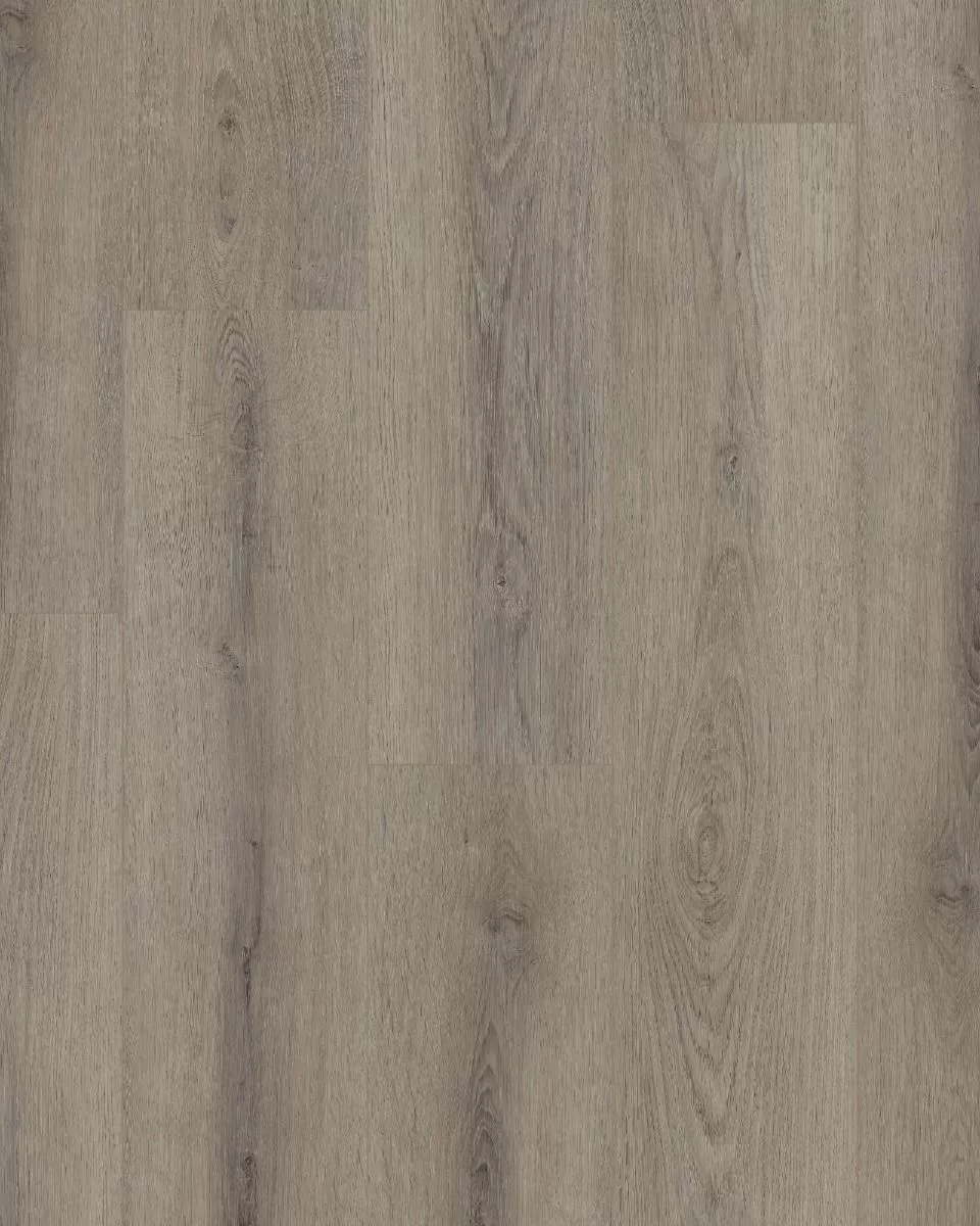 Shaw Paladin Plus Ashen Brown - LVT | Carpet Exchange