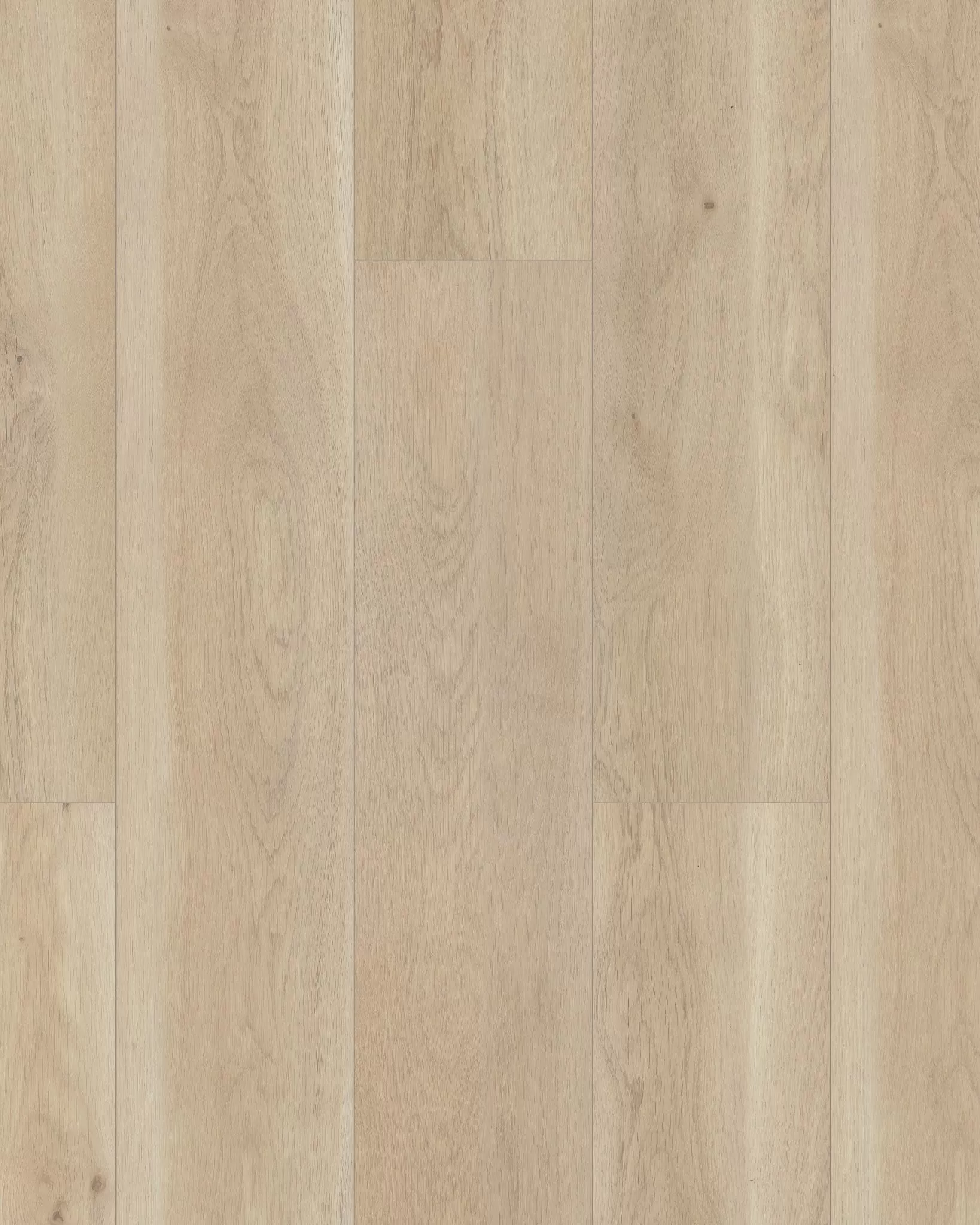 【専用】PARAGON1891 様 Paragon HD+ Natural Bevel Cambridge - LVT | Carpet Exchange