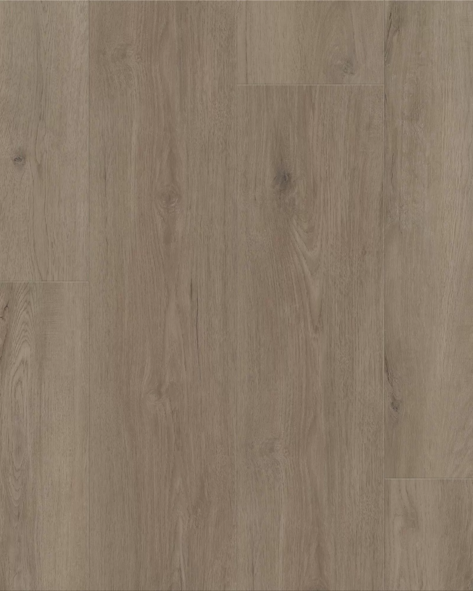 Shaw Dwell Truffle Luxury Vinyl | Carpet Exchange