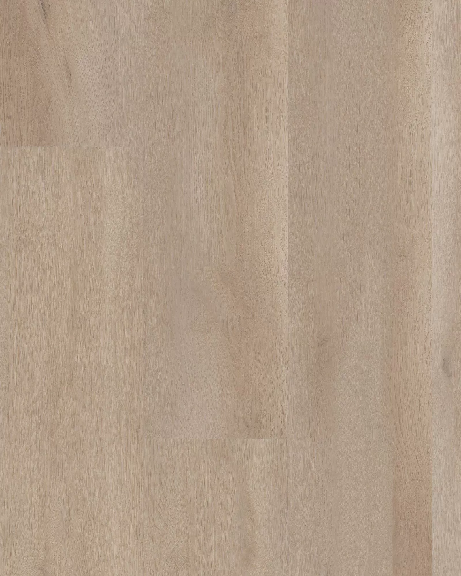 Aspire Natural Bevel Coastal Drift LVP | Carpet Exchange