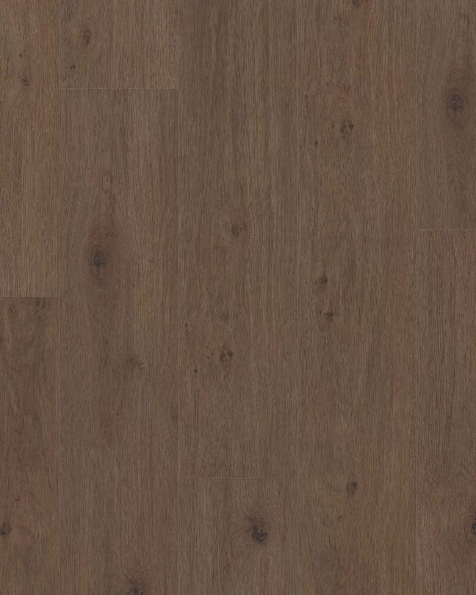 Shaw Fresh Take Tuxedo Bronze Luxury Vinyl | Carpet Exchange