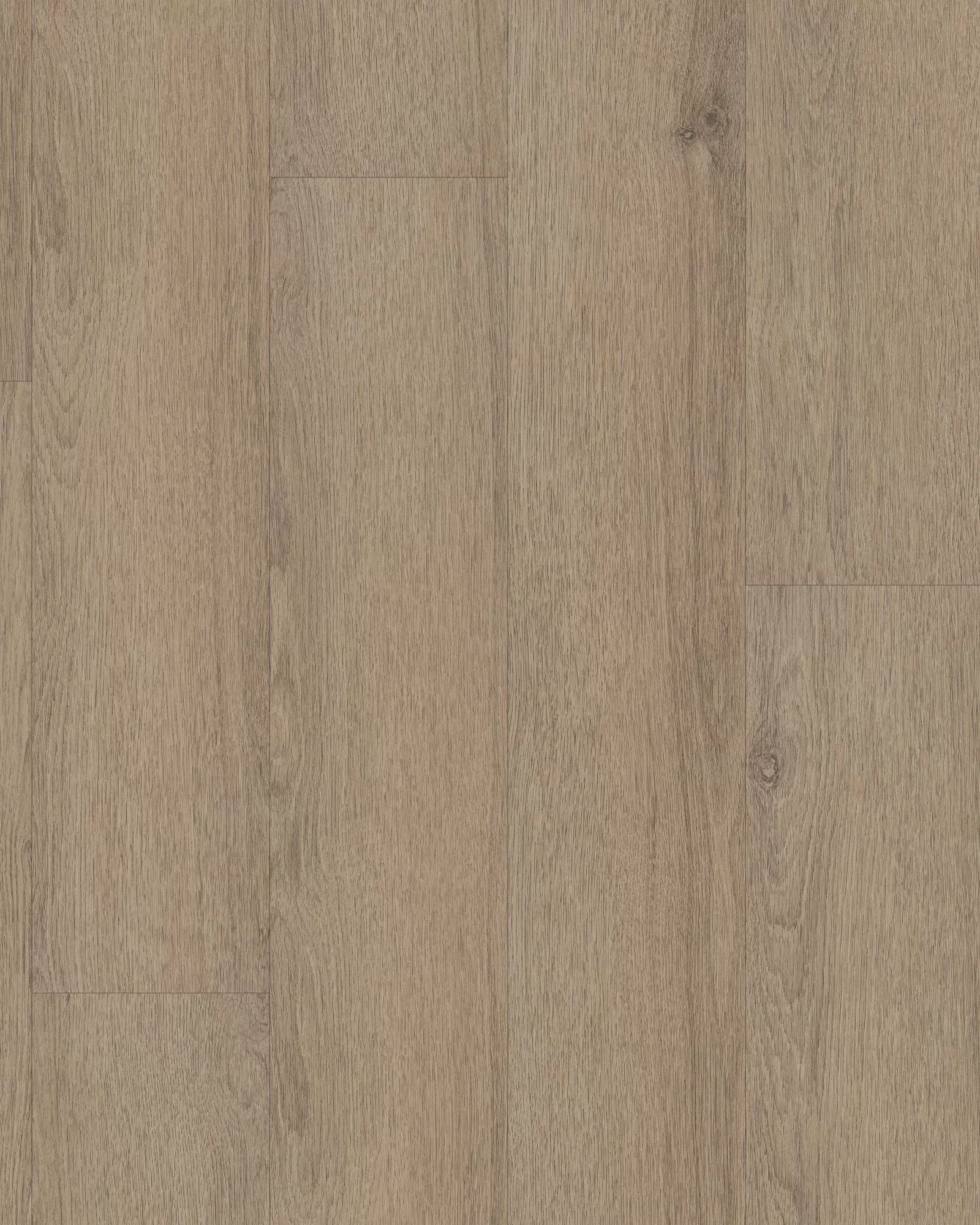 Shaw Natural Beginnings SPC Hazelwood LVP | Carpet Exchange